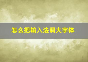 怎么把输入法调大字体