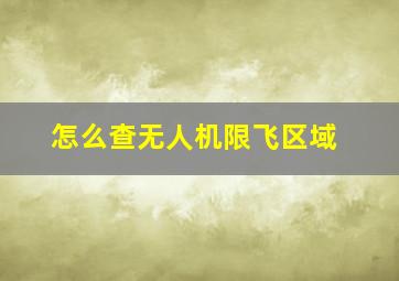 怎么查无人机限飞区域