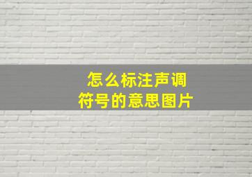 怎么标注声调符号的意思图片