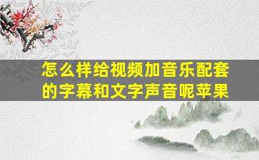 怎么样给视频加音乐配套的字幕和文字声音呢苹果