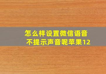 怎么样设置微信语音不提示声音呢苹果12