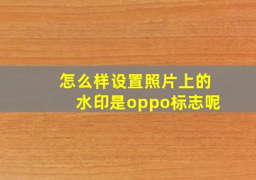 怎么样设置照片上的水印是oppo标志呢