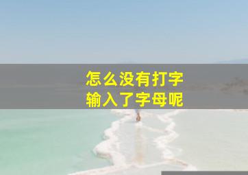 怎么没有打字输入了字母呢