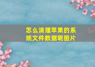 怎么清理苹果的系统文件数据呢图片