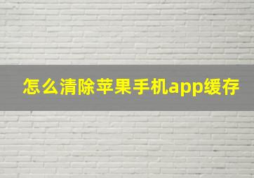 怎么清除苹果手机app缓存