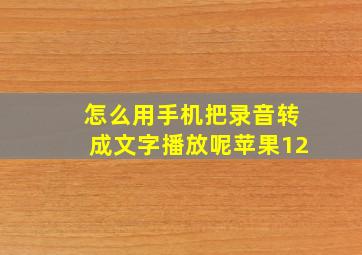 怎么用手机把录音转成文字播放呢苹果12