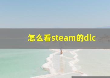 怎么看steam的dlc