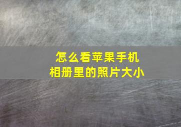 怎么看苹果手机相册里的照片大小