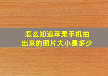 怎么知道苹果手机拍出来的图片大小是多少