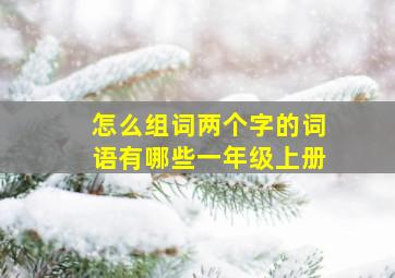 怎么组词两个字的词语有哪些一年级上册