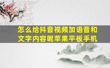 怎么给抖音视频加语音和文字内容呢苹果平板手机