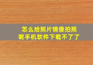 怎么给照片镜像拍照呢手机软件下载不了了