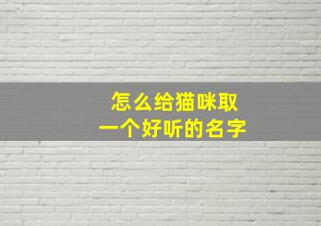 怎么给猫咪取一个好听的名字