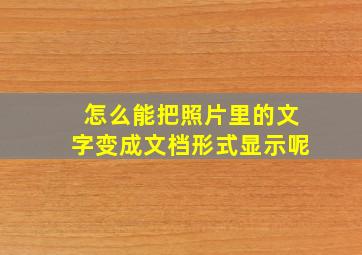 怎么能把照片里的文字变成文档形式显示呢