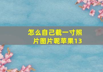 怎么自己截一寸照片图片呢苹果13