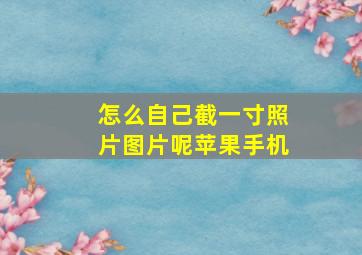 怎么自己截一寸照片图片呢苹果手机