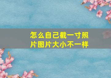 怎么自己截一寸照片图片大小不一样