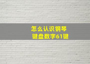 怎么认识钢琴键盘数字61键