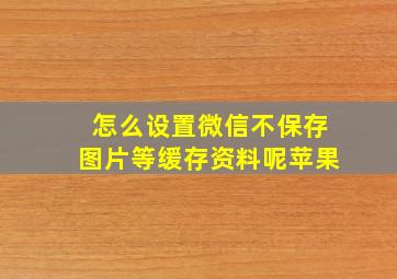 怎么设置微信不保存图片等缓存资料呢苹果