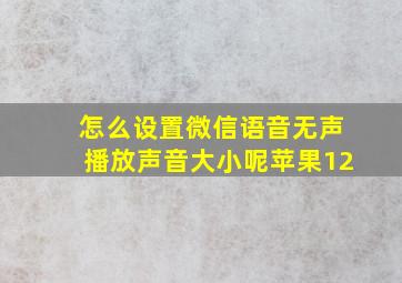 怎么设置微信语音无声播放声音大小呢苹果12