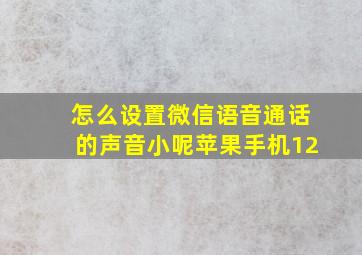 怎么设置微信语音通话的声音小呢苹果手机12