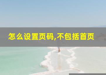 怎么设置页码,不包括首页