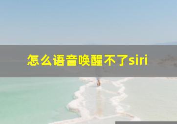 怎么语音唤醒不了siri