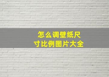 怎么调壁纸尺寸比例图片大全