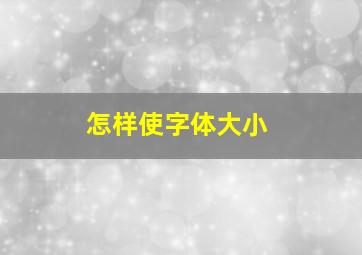 怎样使字体大小