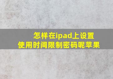 怎样在ipad上设置使用时间限制密码呢苹果