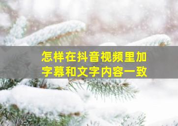 怎样在抖音视频里加字幕和文字内容一致