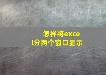 怎样将excel分两个窗口显示