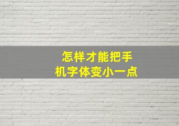 怎样才能把手机字体变小一点