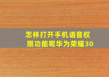 怎样打开手机语音权限功能呢华为荣耀30