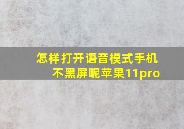 怎样打开语音模式手机不黑屏呢苹果11pro