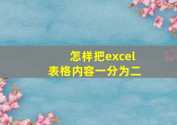 怎样把excel表格内容一分为二