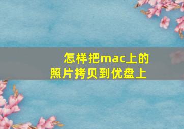 怎样把mac上的照片拷贝到优盘上