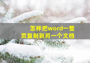 怎样把word一整页复制到另一个文档