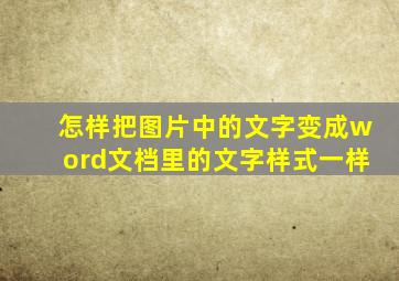 怎样把图片中的文字变成word文档里的文字样式一样