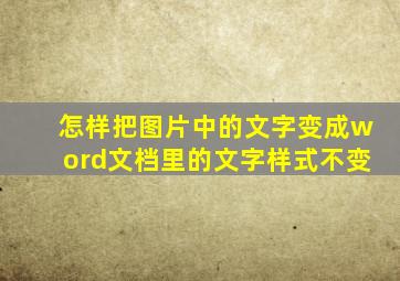 怎样把图片中的文字变成word文档里的文字样式不变