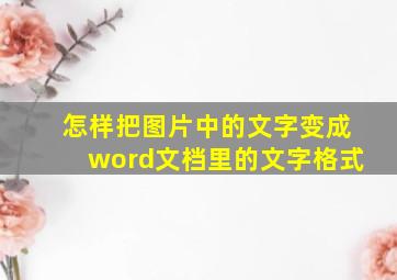 怎样把图片中的文字变成word文档里的文字格式