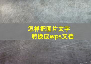 怎样把图片文字转换成wps文档