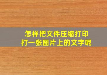 怎样把文件压缩打印打一张图片上的文字呢