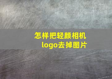 怎样把轻颜相机logo去掉图片