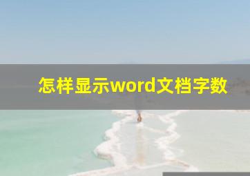 怎样显示word文档字数