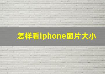 怎样看iphone图片大小