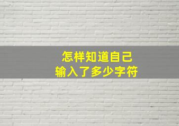 怎样知道自己输入了多少字符