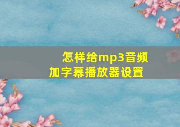 怎样给mp3音频加字幕播放器设置