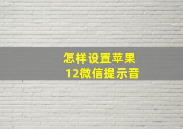 怎样设置苹果12微信提示音