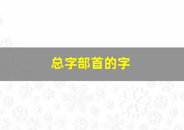 总字部首的字